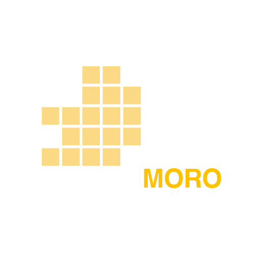 Logo Modellvorhaben der Raumordnung (MORO)
